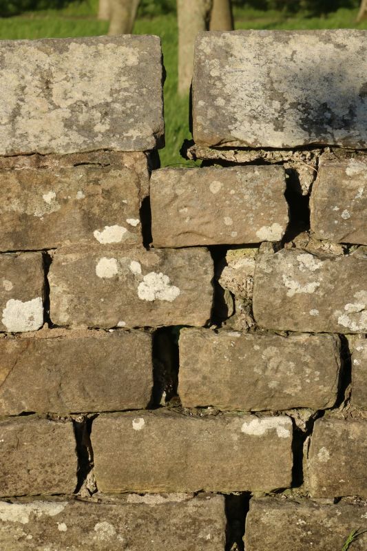 Stone Wall Repair in Conover, NC